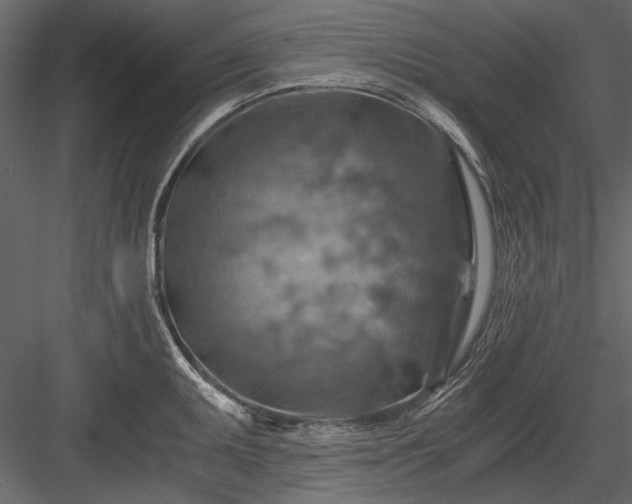 X0000084031095200702232252