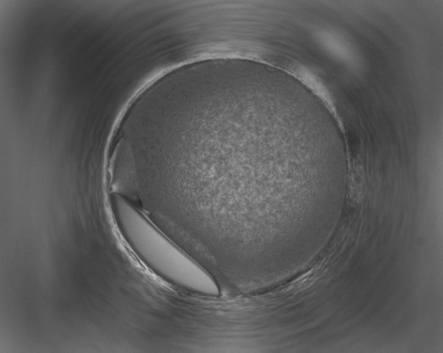 X0000084031096200702232252