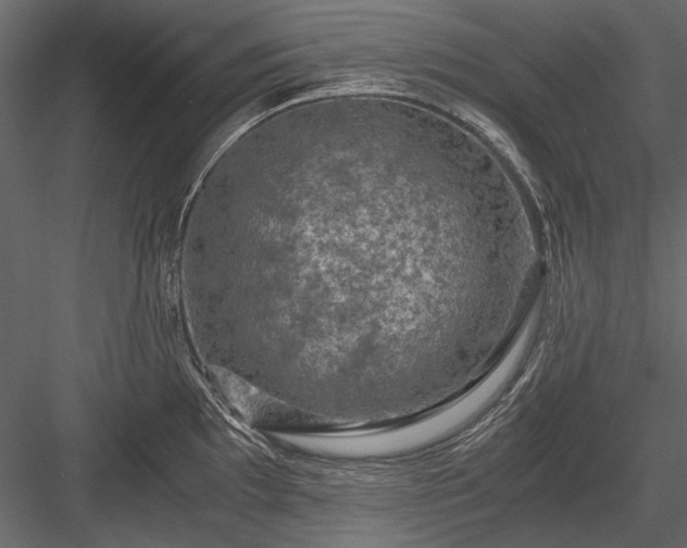 X0000084031097200702232252