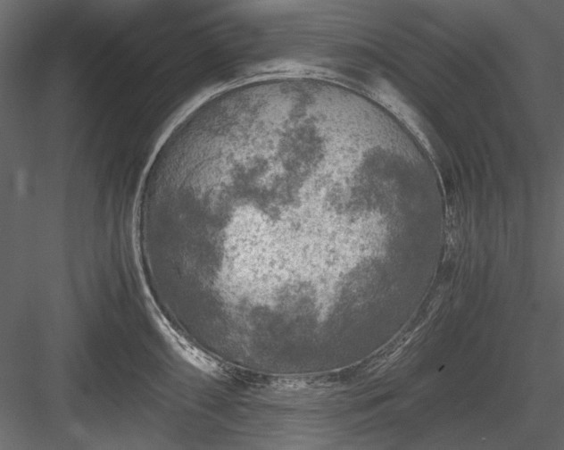 X0000084031098200702232252