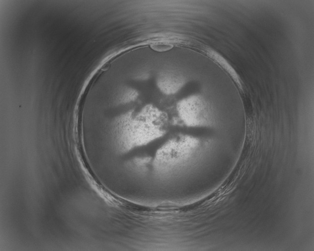 X0000084031099200702232252