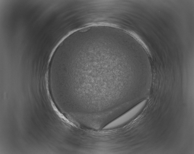 X0000084031100200702232252