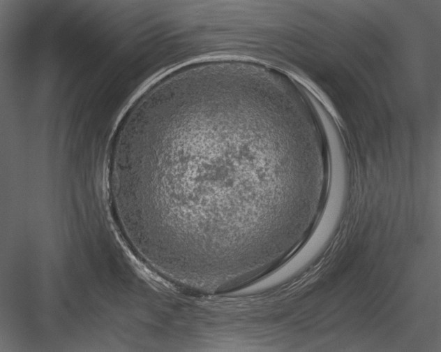 X0000084031101200702232252