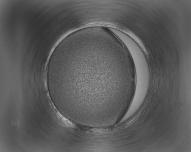 X0000084031102200702232251