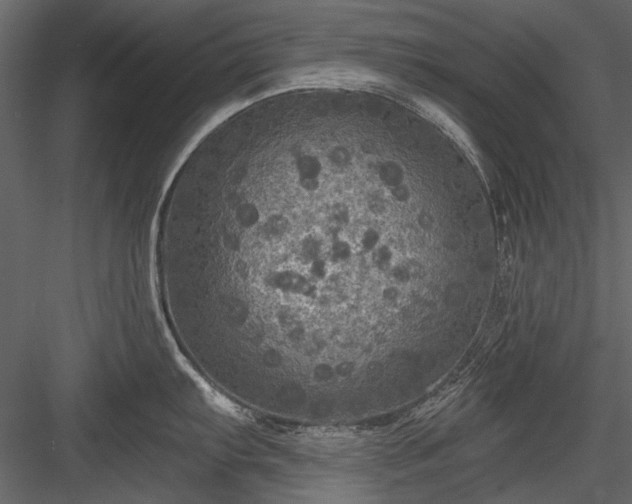 X0000084031103200702232251