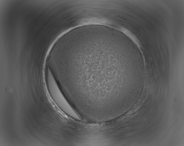 X0000084031104200702232251