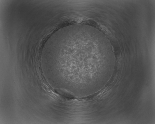 X0000084031105200702232251