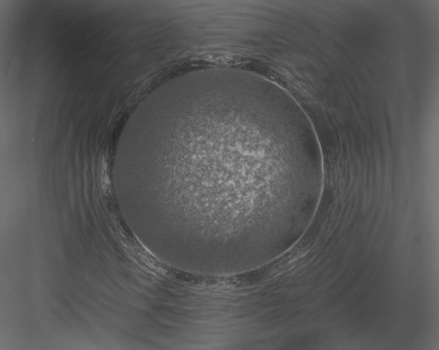 X0000084031106200702232251