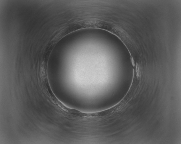 X0000084031107200702232251