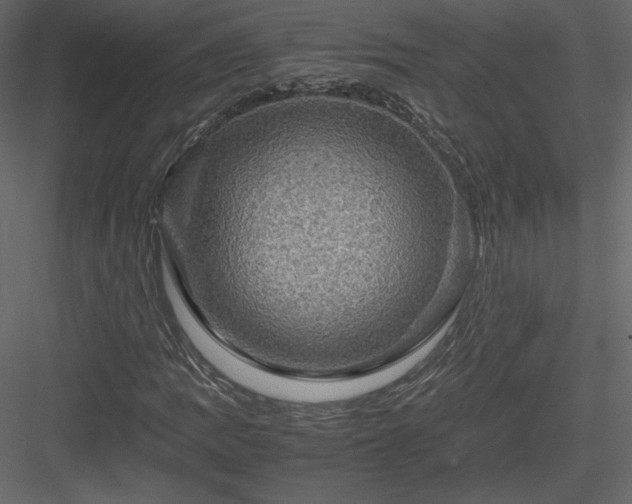 X0000084031109200702232251