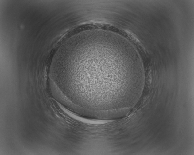 X0000084031110200702232251