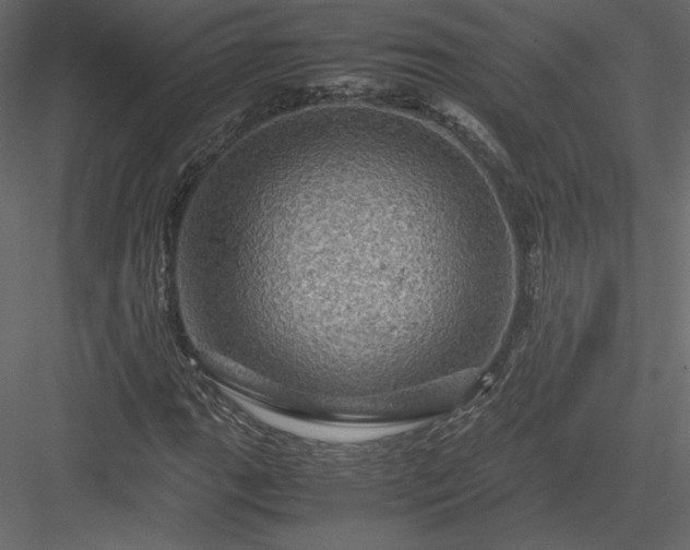 X0000084031111200702232251