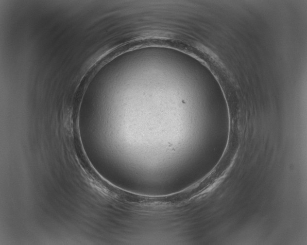 X0000084031113200702232251