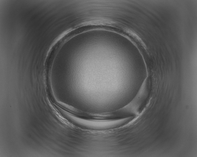 X0000084031114200702232251