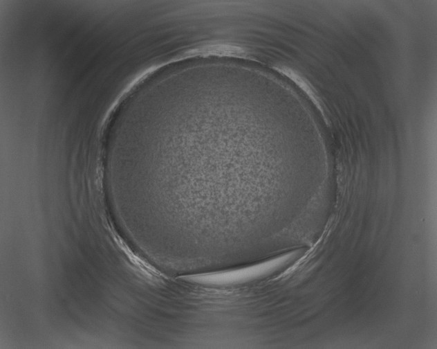 X0000084031115200702232251