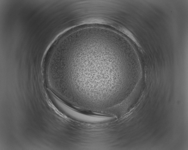 X0000084031116200702232251