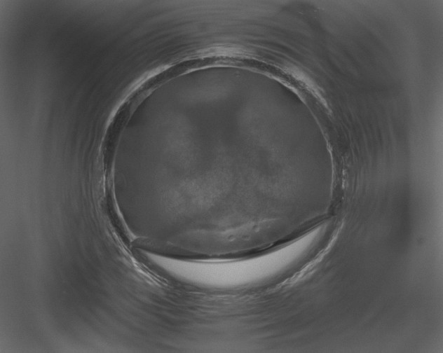 X0000084031117200702232251