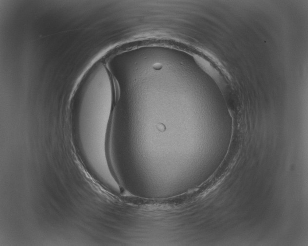 X0000084031118200702232251