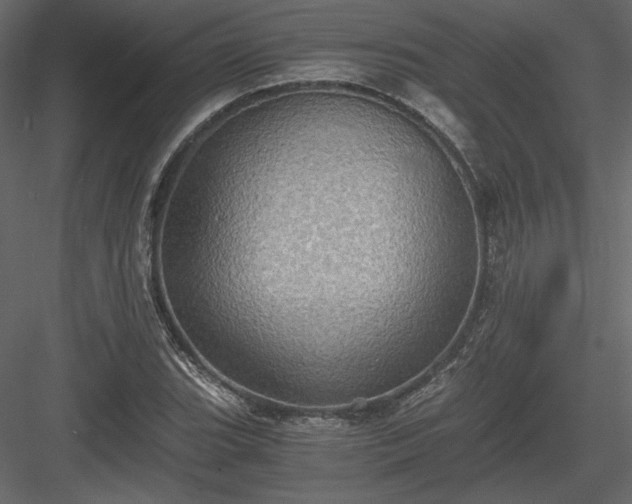 X0000084031119200702232251