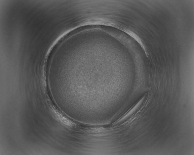 X0000084031120200702232251