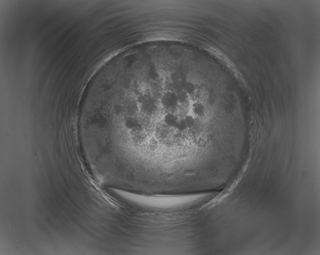 X0000084031121200702232251