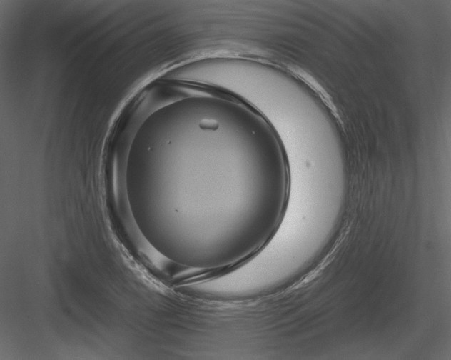 X0000084031122200702232251