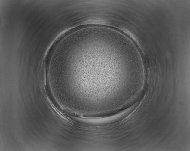 X0000084031123200702232251