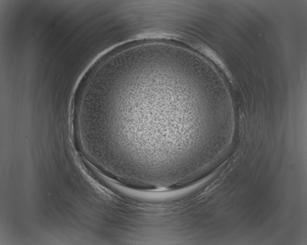 X0000084031124200702232251