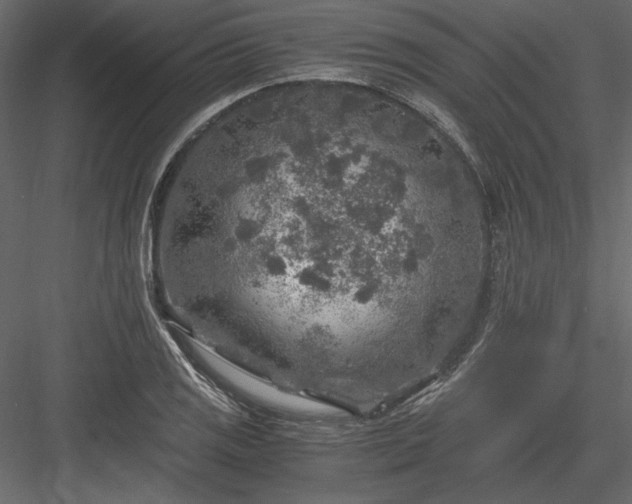 X0000084031125200702232251