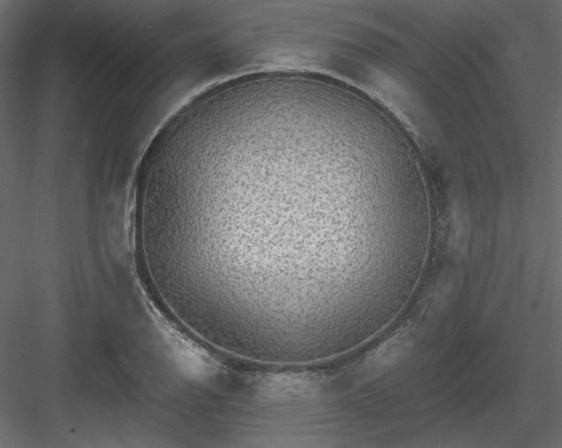 X0000084031126200702232251