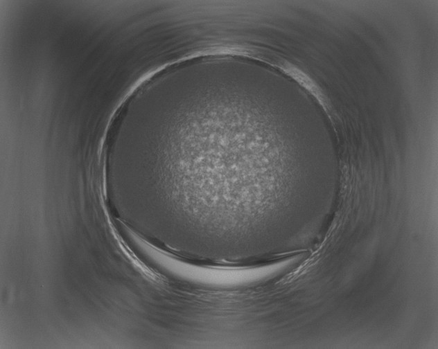 X0000084031127200702232251