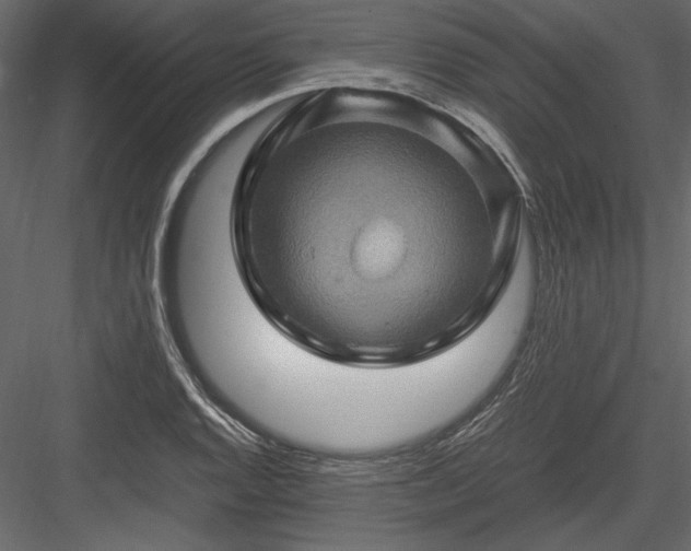 X0000084031128200702232251