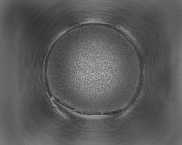 X0000084031129200702232251