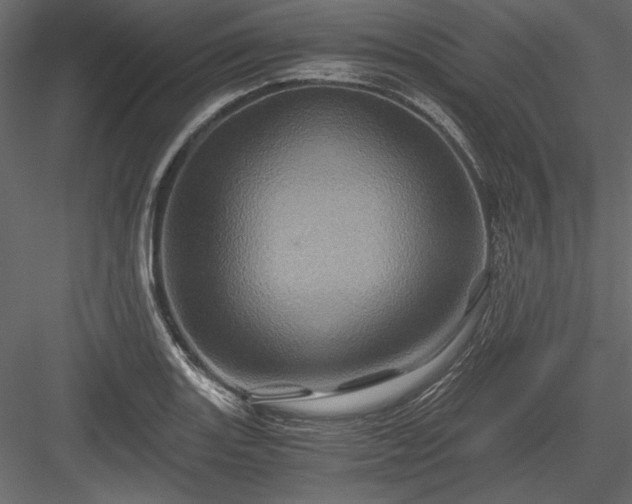 X0000084031131200702232251