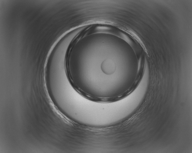 X0000084031132200702232251