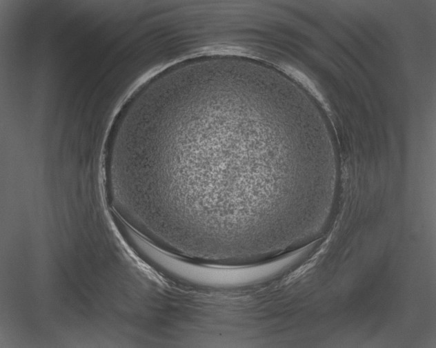 X0000084031133200702232251