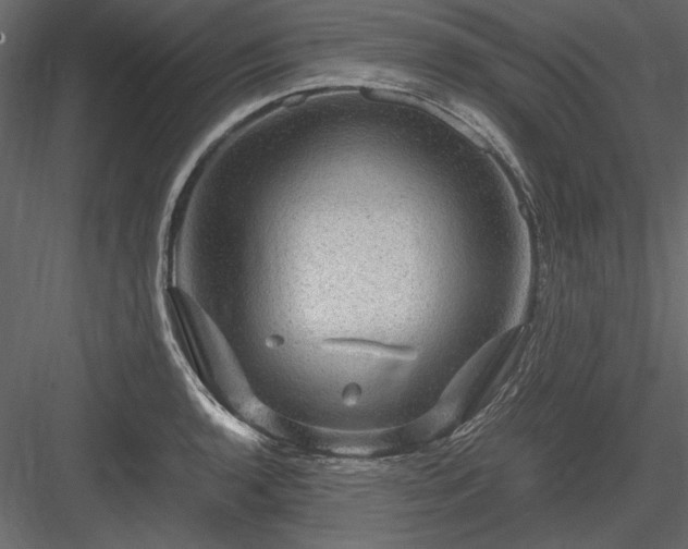 X0000084031136200702232251