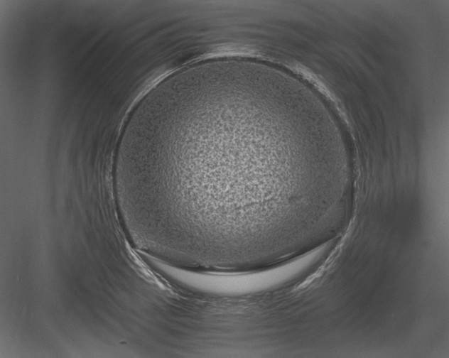 X0000084031137200702232251