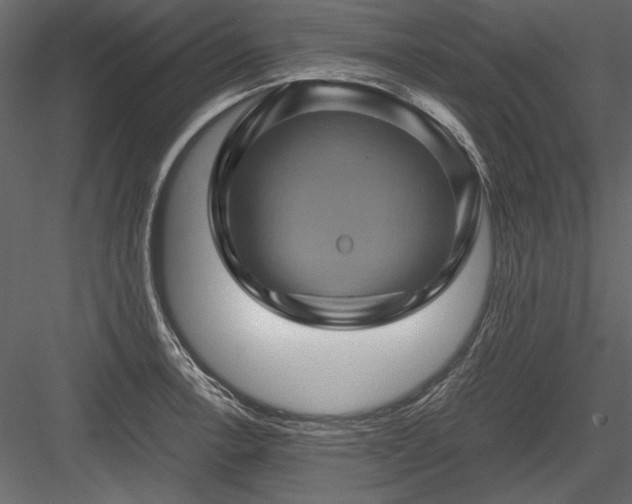 X0000084031138200702232251