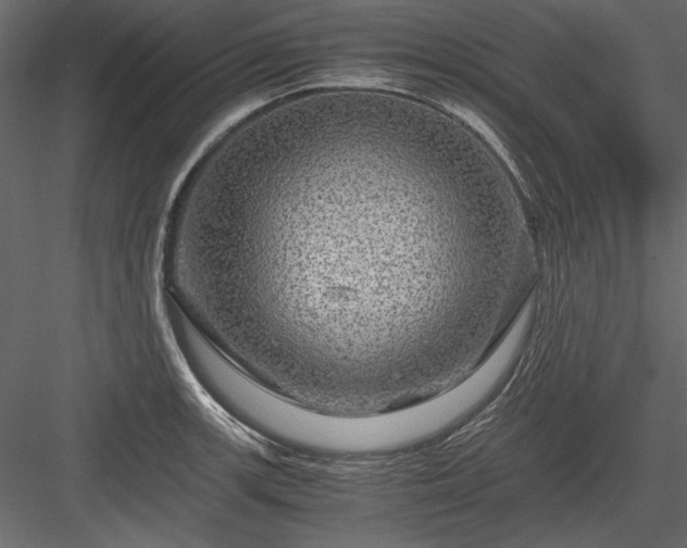 X0000084031139200702232251