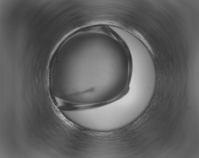 X0000084031140200702232251