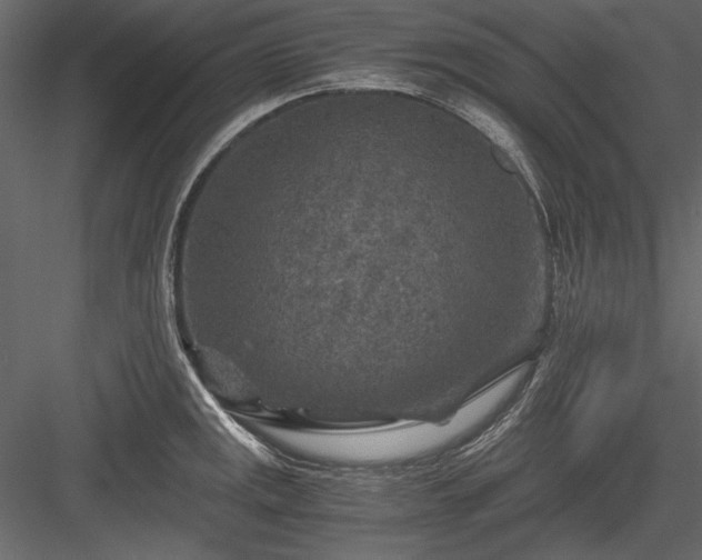 X0000084031141200702232251