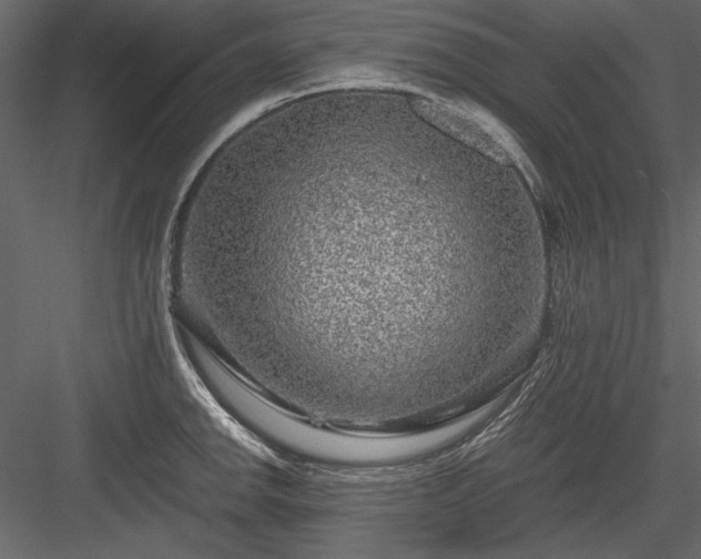 X0000084031142200702232251