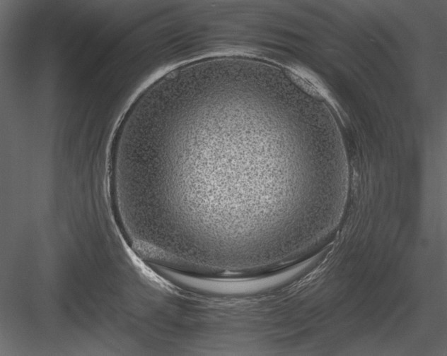 X0000084031143200702232251