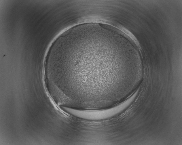 X0000084031144200702232251