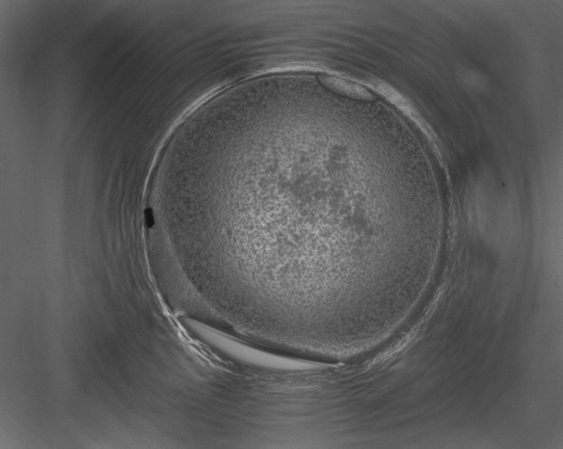 X0000084031145200702232251