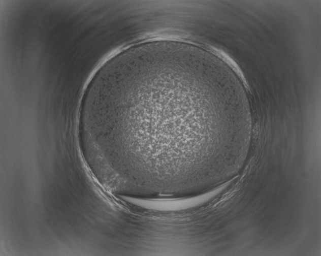 X0000084031146200702232251