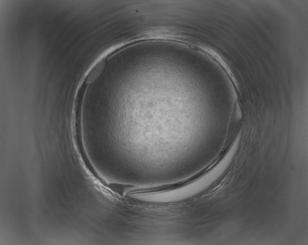 X0000084031147200702232251