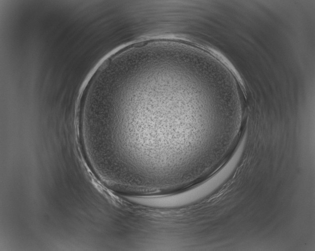 X0000084031148200702232251