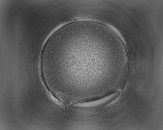 X0000084031149200702232251